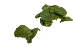 Mint blaadjes bak 250gr